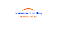 BORRMANN CONSULTING